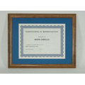 11"x14" Walnut Hardwood Document Frame